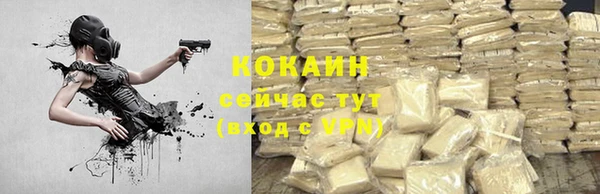 индика Вяземский