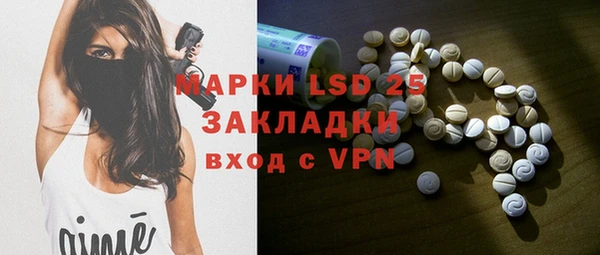индика Вяземский