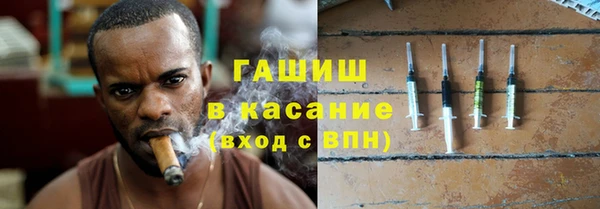 индика Вяземский