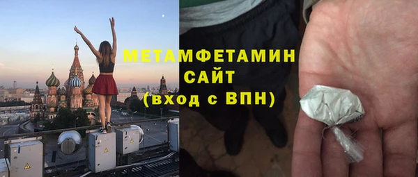 индика Вяземский