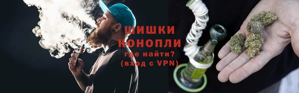 индика Вяземский