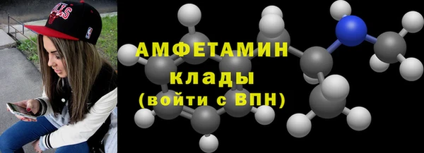 индика Вяземский
