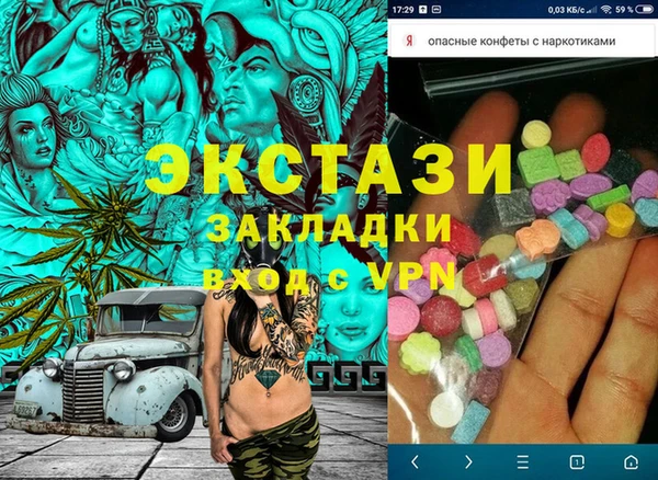 индика Вяземский