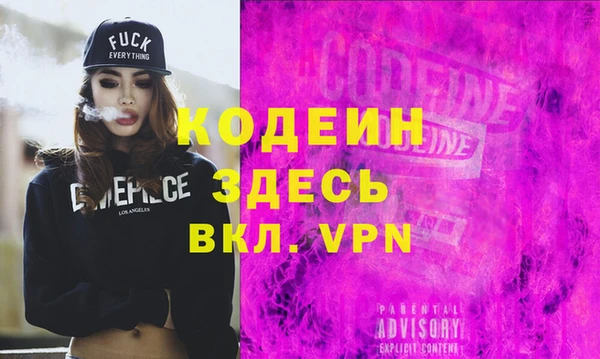 индика Вяземский