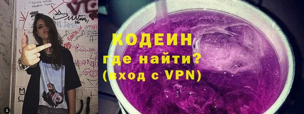 индика Вяземский