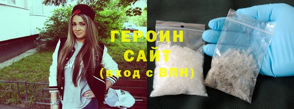 индика Вяземский