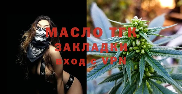индика Вяземский