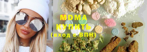индика Вяземский
