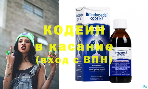 индика Вяземский