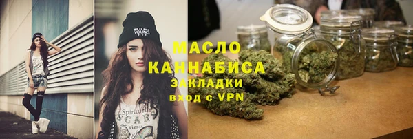индика Вяземский