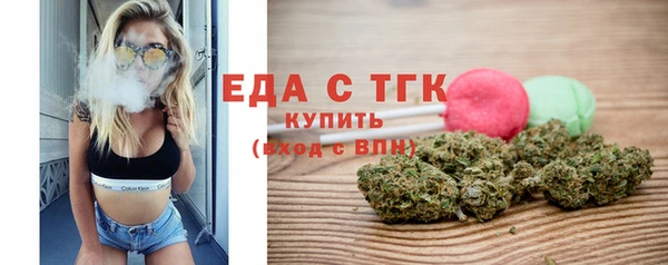 индика Вяземский
