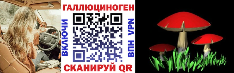 Галлюциногенные грибы мицелий  Купить  Горбатов 